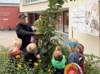 Moritz_Baum_original